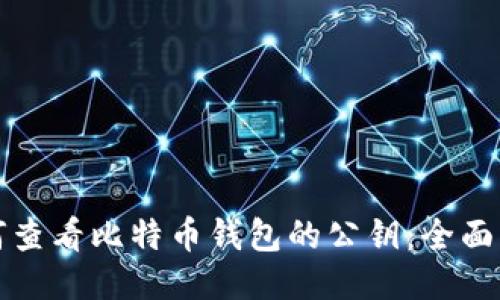 如何查看比特币钱包的公钥：全面指南