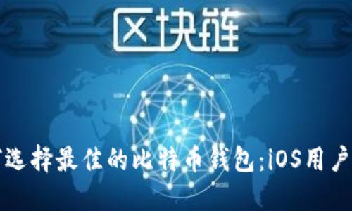 如何选择最佳的比特币钱包：iOS用户指南