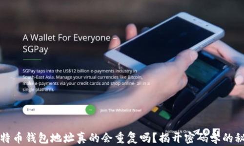 
比特币钱包地址真的会重复吗？揭开密码学的秘密
