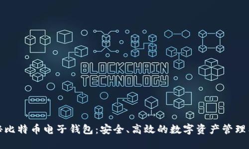 揭秘比特币电子钱包：安全、高效的数字资产管理工具