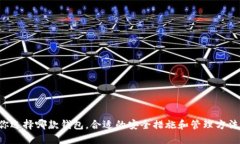   探索BT钱包与TPWallet：你