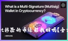 tpWallet移除的币还能找回吗