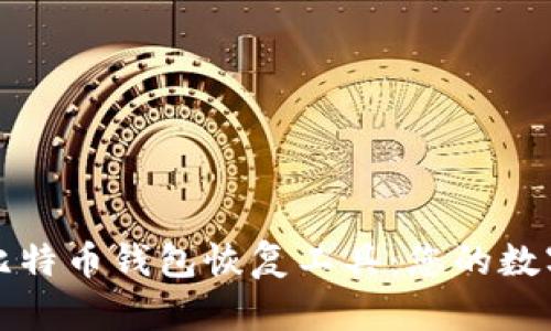 如何有效使用比特币钱包恢复工具:您的数字资产安全指南