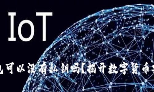 比特币钱包可以没有私钥吗？揭开数字货币安全的奥秘