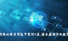: 如何将比特币钱包下载到