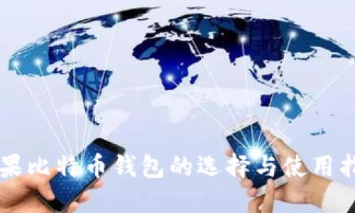 苹果比特币钱包的选择与使用指南