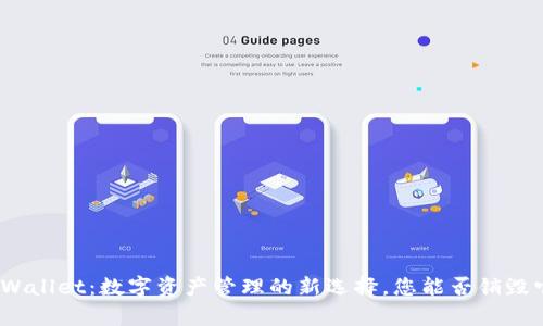 tpWallet：数字资产管理的新选择，您能否销毁它？
