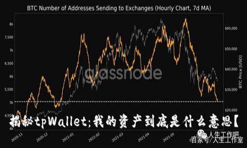 揭秘tpWallet：我的资产到底是什么意思？