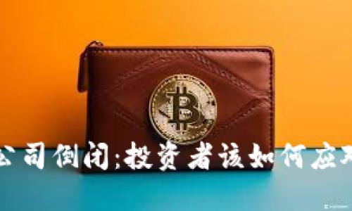 比特币钱包公司倒闭：投资者该如何应对与保护资产
