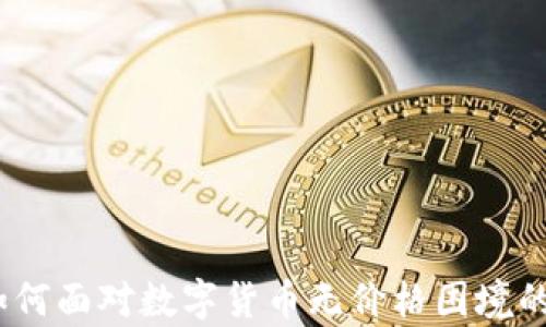 
tpWallet：如何面对数字货币无价格困境的挑战与机遇