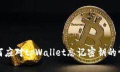 如何应对tpWallet忘记密钥的