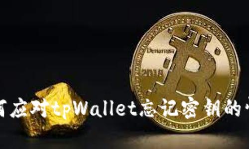 如何应对tpWallet忘记密钥的情况