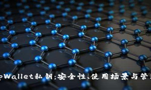 揭秘tpWallet私钥：安全性、使用场景与管理技巧