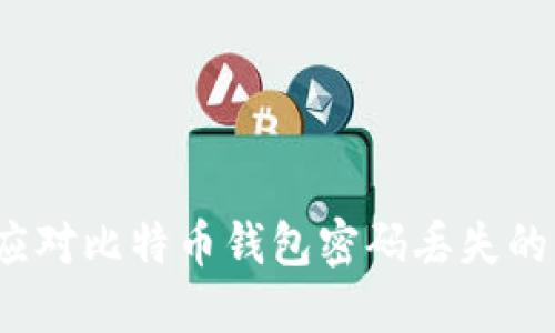如何应对比特币钱包密码丢失的危机？