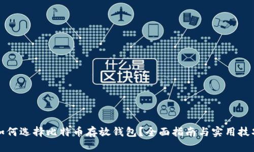 如何选择比特币存放钱包？全面指南与实用技巧