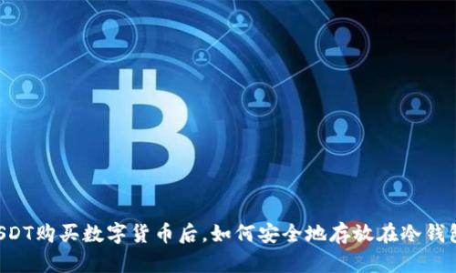 用USDT购买数字货币后，如何安全地存放在冷钱包中？