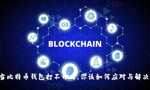 当比特币钱包打不开时，你该如何应对与解决？