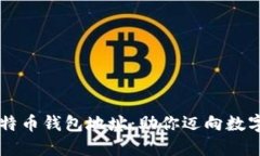 探索10大比特币钱包地址：