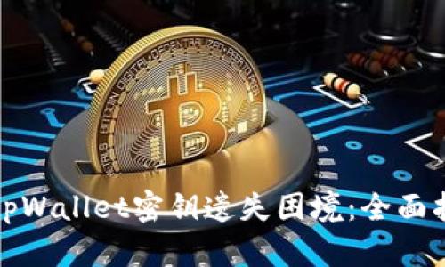 如何有效应对tpWallet密钥遗失困境：全面指南与解决方案