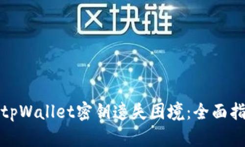 如何有效应对tpWallet密钥遗失困境：全面指南与解决方案