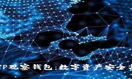 全面解析TP观察钱包：数字资产安全与使用指南