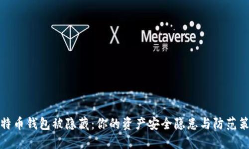 比特币钱包被隐藏：你的资产安全隐患与防范策略