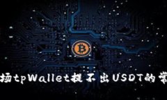 解决波场tpWallet提不出US