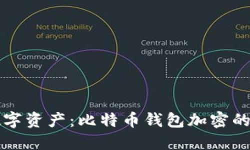 保护你的数字资产：比特币钱包加密的意义与方法