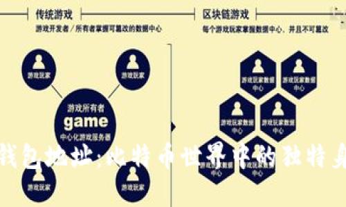 : 揭秘钱包地址：比特币世界中的独特身份标识