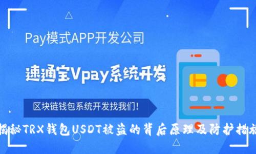 揭秘TRX钱包USDT被盗的背后原理及防护措施
