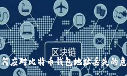 :
如何应对比特币钱包地址丢失的危机