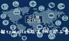 深入了解tpWallet及其BNB矿工