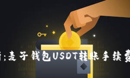  深入解析：麦子钱包USDT转账手续费及其策略