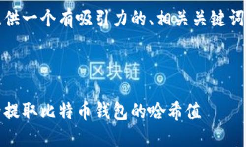 在此，我可以为您提供一个有吸引力的、相关关键词和介绍内容的框架。



深入解析：如何安全提取比特币钱包的哈希值