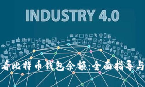 : 如何查看比特币钱包余额：全面指导与注意事项