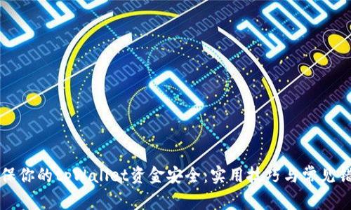 如何确保你的tpWallet资金安全：实用技巧与常见错误分析