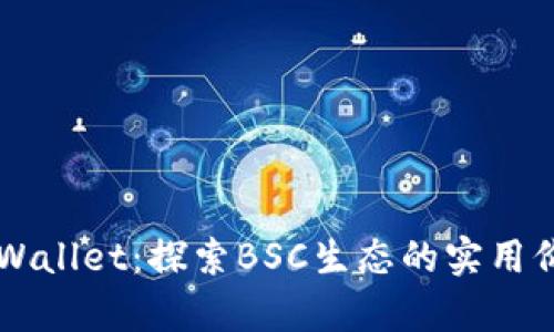 全方位解析TPWallet：探索BSC生态的实用价值与未来潜力