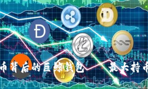 揭秘比特币背后的巨鲸钱包——最大持币地址分析