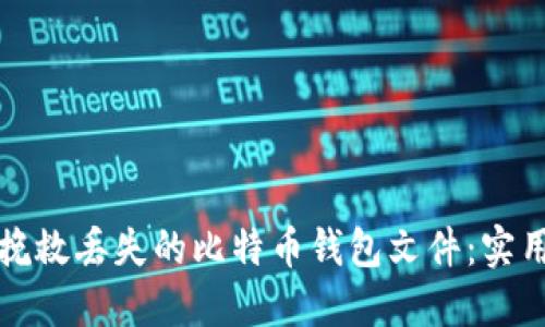 如何挽救丢失的比特币钱包文件：实用指南