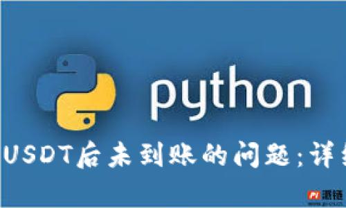  解决tpWallet充USDT后未到账的问题：详细指南与实用技巧