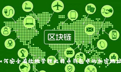 如何安全有效地管理比特币钱包中的加密地址？