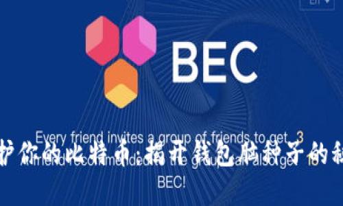 保护你的比特币：揭开钱包脑种子的秘密