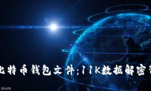 深入探索比特币钱包文件：11K数据解密背后的秘密