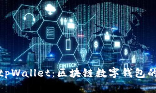 全面解析tpWallet：区块链数字钱包的未来选择