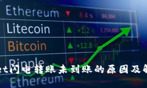 TPWallet闪电转账未到账的原因及解决方案