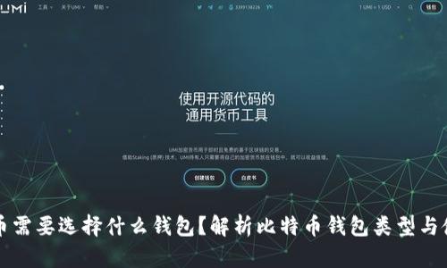 买比特币需要选择什么钱包？解析比特币钱包类型与使用技巧