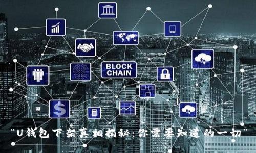 “U钱包下架真相揭秘：你需要知道的一切”