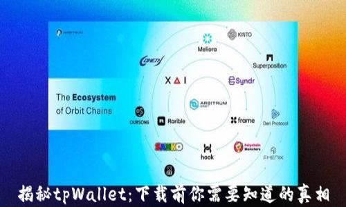 
揭秘tpWallet：下载前你需要知道的真相