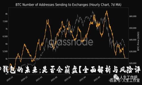 TP钱包的未来：是否会崩盘？全面解析与风险评估