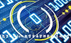 麦子钱包里的Token：数字货